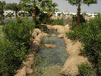 ����� � ������� �����