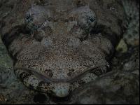 �� �������� ��� � �����