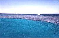 1-����������� ����������� � ����������