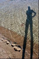 ������ ����