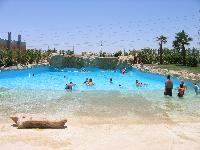 �������� �������