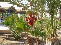 ��������������