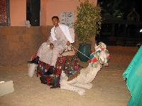 �������� � ���������