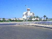 ������� ���� ����� �������