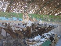 ��������������� ������