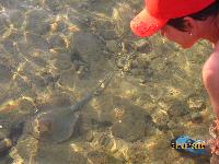 ����������