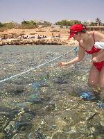 ���������� ����� ����� � �����