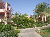 ������� ����� 5 �������