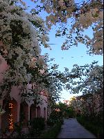 ������ � ���� ����� ����� ���