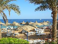 ����� ���������