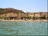 ����� ���������