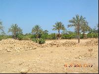 ����� ���������