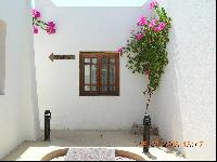 ����� ���������