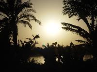 ����� �� ����