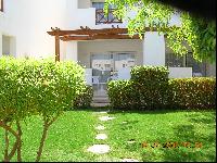 ����� ���������