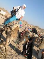 ������ �����-������