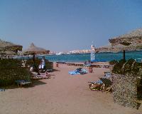 ���� �����