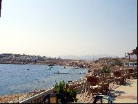 ��� �� �����-����