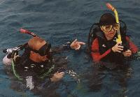 ������ ��� ��������