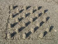 ���������������