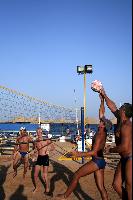 ������������