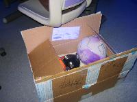 �������