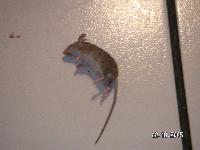 ������� ������� �������� � ����...� ������