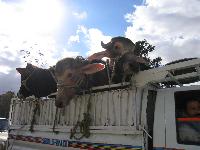 �� ���� � �����������