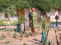 ����� ���� ������