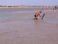 ����� ���� ������