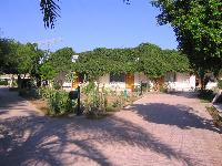 ����� ���� ������