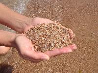 ������� �� ������, ���� �� ���� �������