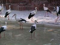 ������� � �����