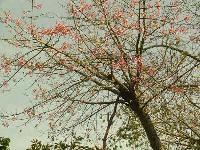 ������� � �����