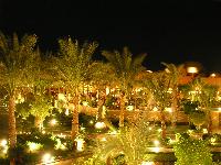 ������ �����