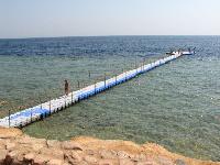 ������-�����_ ���