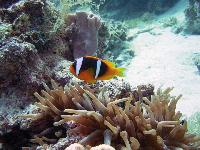 ����-�����