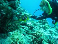 ������ � �����