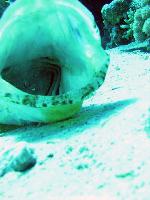 ������, � � ���� ����� �� �������?