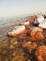 ������� �����