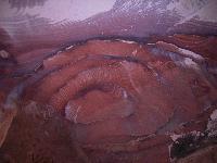 ���� ����������