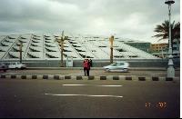 ����������_�����������