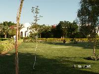 ���������� �����