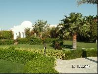 ���������� �����