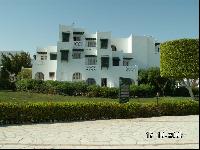 ������ "����"