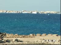 ��� � ������� ��������� Felfela