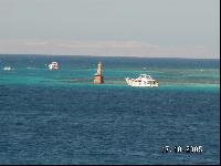 ��� � ������� ��������� Felfela