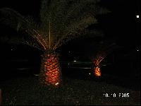 ����. ������ � ��������