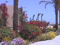 ����� �li Baba