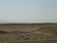 ������ �����